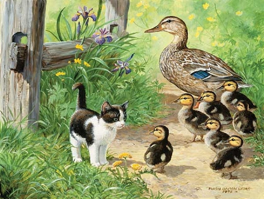 Entenfamilie, Enten, Familie, Tiere, Farbe, Katze HD-Hintergrundbild