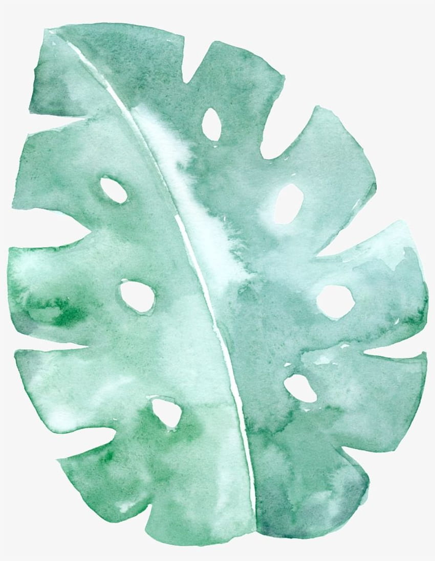 This Graphics Is Spotted Green Leaf Cartoon Transparent - Mint Green Background Watercolor Png - Transparent PNG HD phone wallpaper