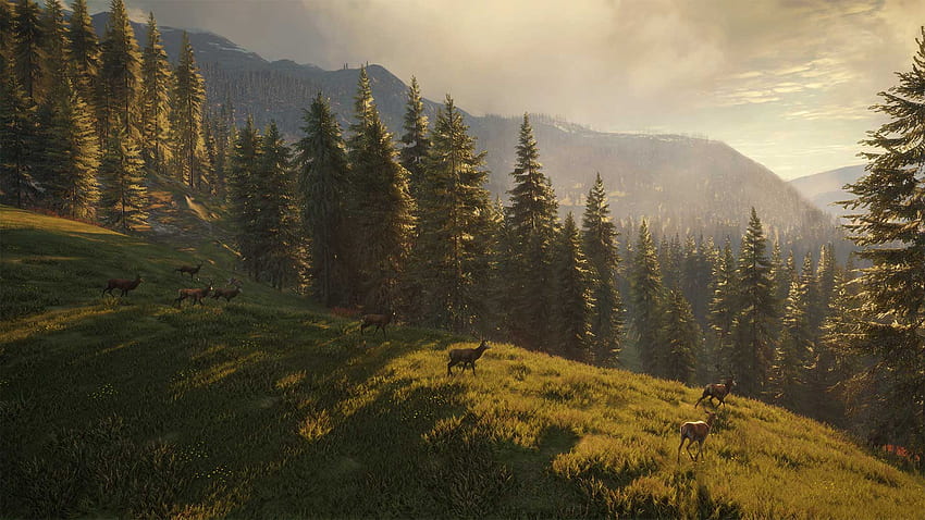 Buy theHunter™ Call of the Wild - Silver Ridge Peaks