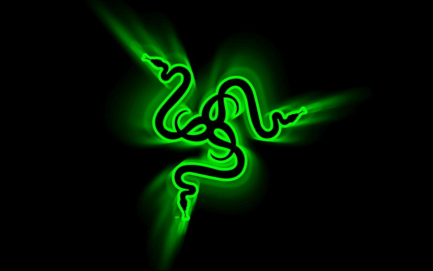 Razer Blade Default, Orange Razer HD wallpaper | Pxfuel