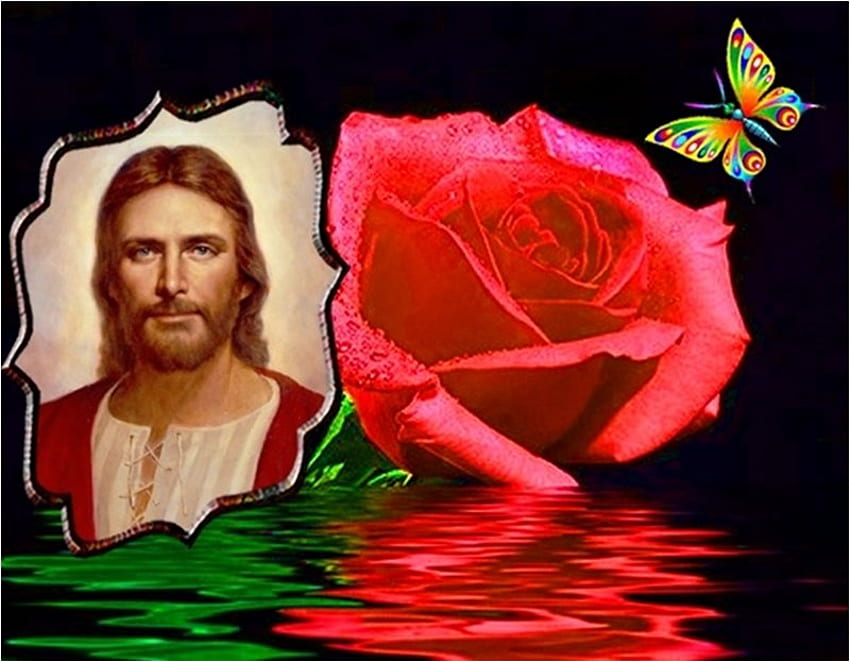 The face of love, god, jesus, christ, salvation, religion, christianity, rose, butterfly, flower HD wallpaper