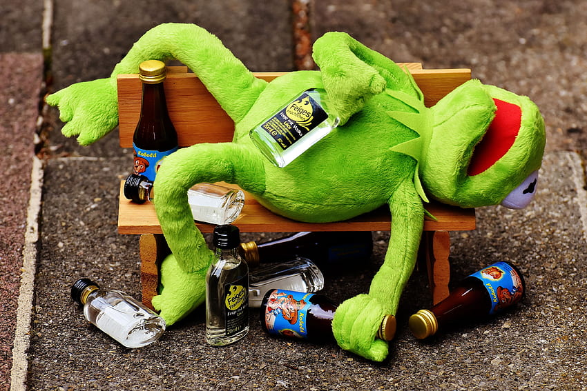 Kermit The Frog Drunk Meme, Drunk Animals HD тапет