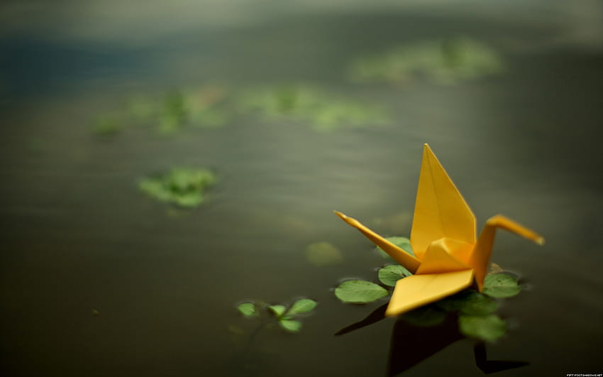 schwimmende Schwäne aus Papier Origami – Nature Water, Origami Beautiful HD-Hintergrundbild