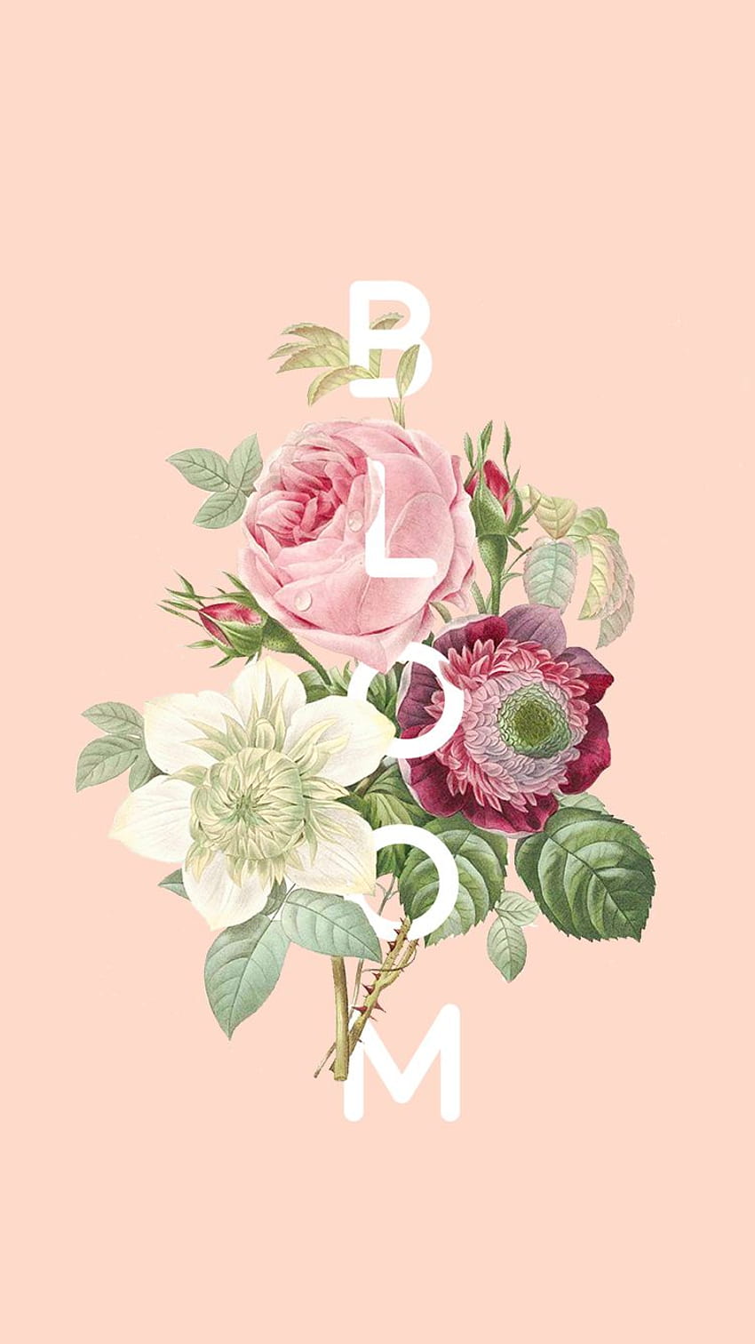 TECH TUESDAY: Full Bloom Phone, Bloom Where You Are Planted HD phone wallpaper