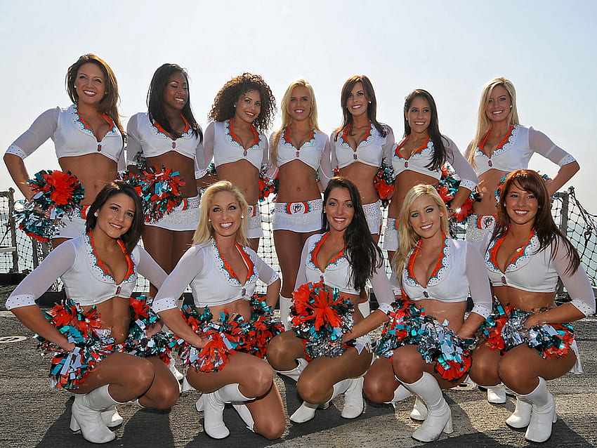 iPAD wallpaper: New Miami Dolphins official logo.  Miami dolphins, Miami  dolphins cheerleaders, Dolphins