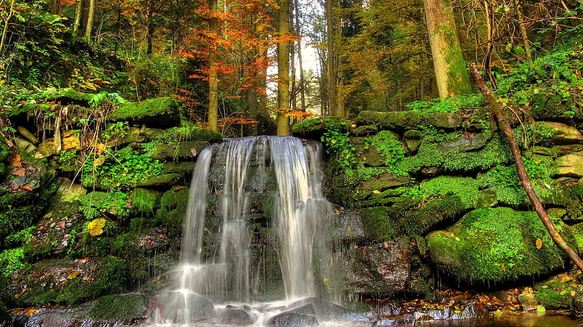 Natur, Steine, Wasserfall, Vegetation, Moos, Jet HD-Hintergrundbild