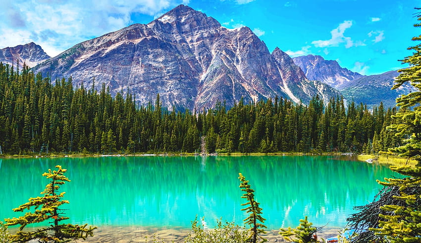 grass, lake, summer, trees, beautiful, turquoise water, forest, mountain, canadian rockies HD wallpaper