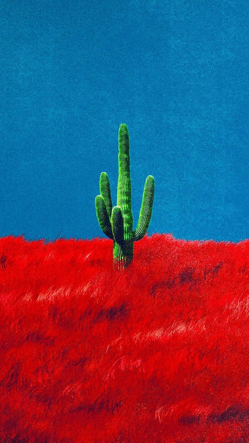 Travis Scott iPhone, Cactus HD phone wallpaper
