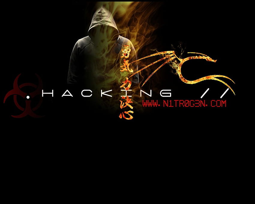 Hacking etico. Hacking, Hacker Sfondo HD