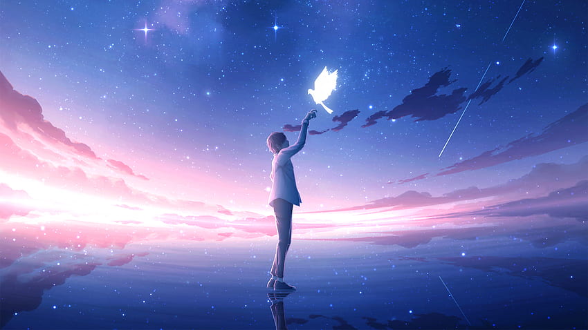 Anime Boy Pigeon Bird Stars Blue Sky Anime Boy HD wallpaper