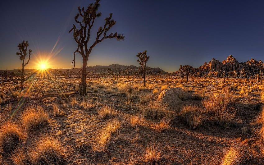 arizona sunset 30127. Favorite Places & Spaces, Arizona Desert Sunset HD wallpaper