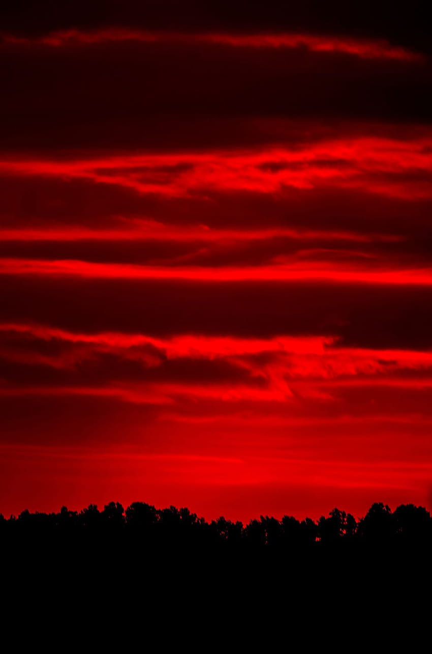 Black and Red sunset. Red sunset, Red aesthetic, Red sky HD phone ...