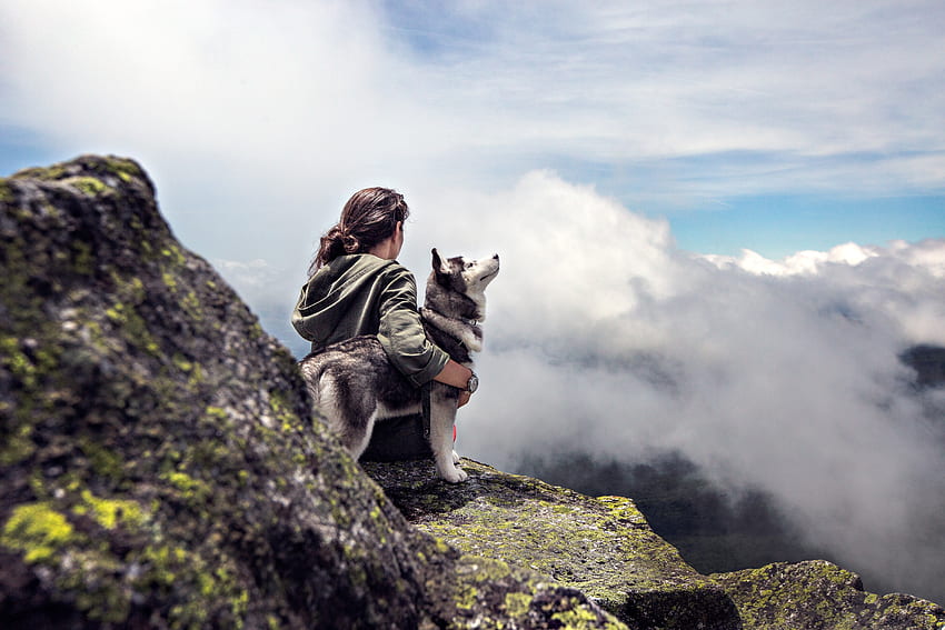 Husky siberiano accanto a una donna seduta su una collina di Grey Rock Mountain mentre si guarda una veduta aerea · Stock, donna che fa un'escursione Sfondo HD
