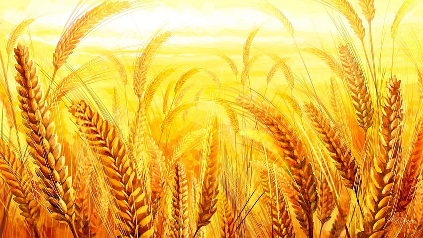 Ladang: Panen Gandum Musim Panas Roti Gandum Kuning Golden Fall Farm Wallpaper HD