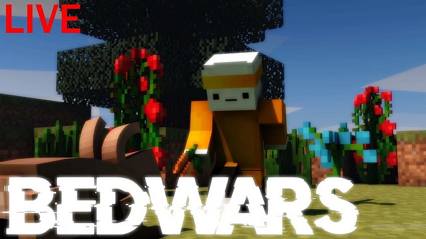 Playing Skywars Bedwars On HIVE POINTS HD wallpaper