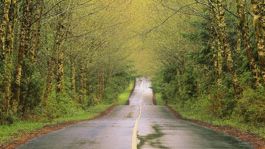 rain, Country, Canada, Vancouver, islands, roads, British Columbia - HD wallpaper