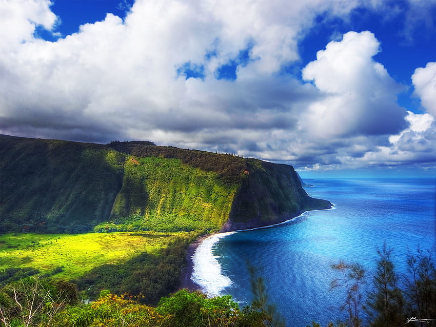 Dolina Waipio, dystrykt Hamakua na Wielkiej Wyspie Hawajów Tapeta HD
