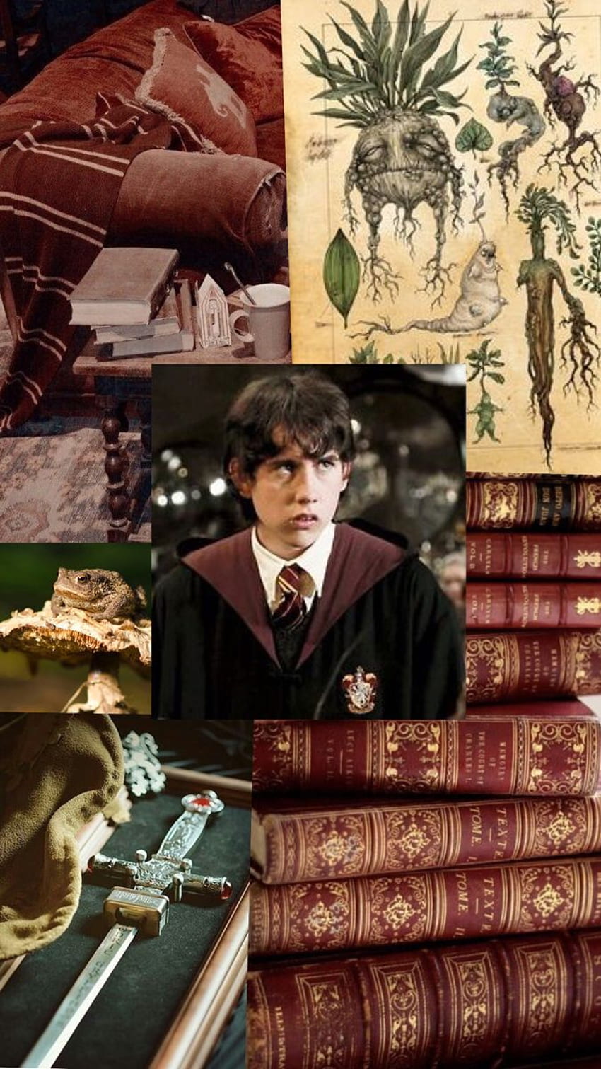 Neville Longbottom. Karakter Harry potter, Neville longbottom, Harry potter neville wallpaper ponsel HD