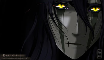 Ulquiorra Cifer, anime, splitting, Bleach, Kurosaki Ichigo, Espada -  wallpaper #63018 (2429x1326px) on