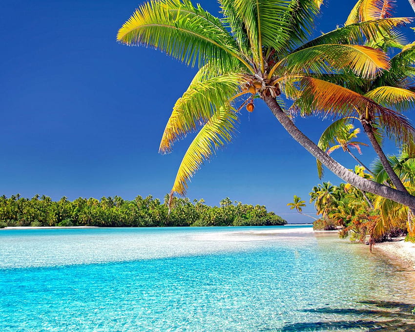 Cook islands, beach, sunny day , , Standard 5:4, Fullscreen HD ...