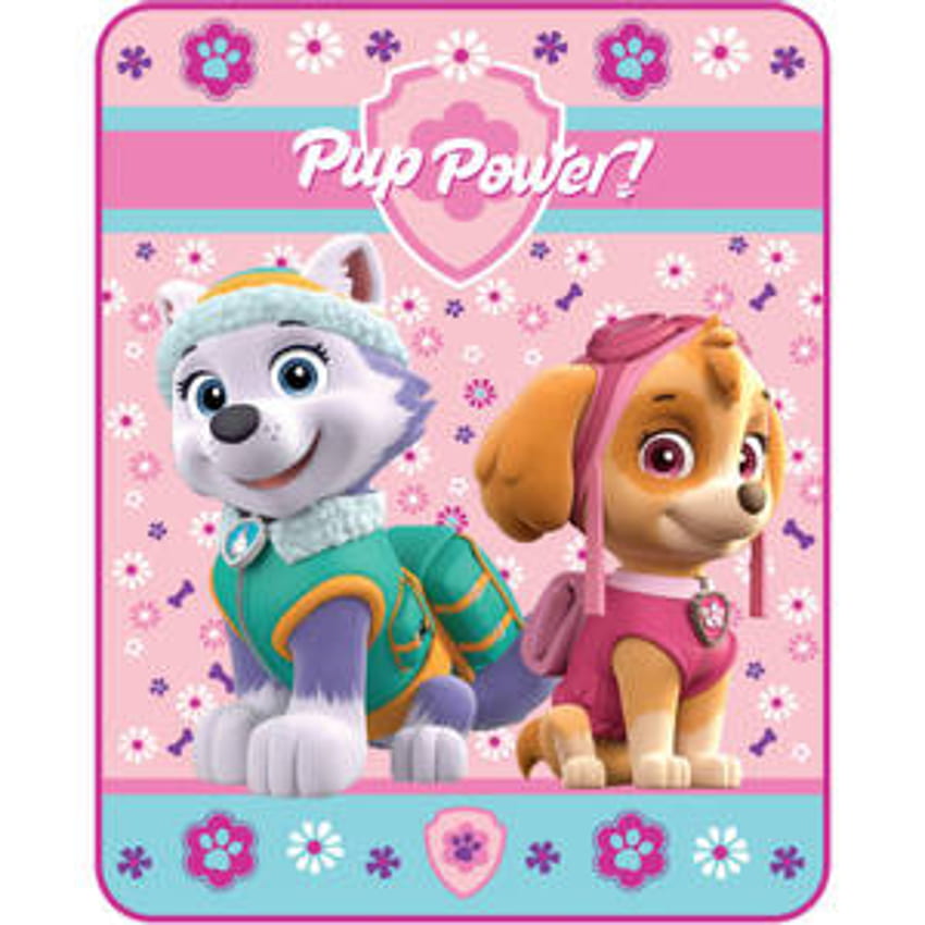 Paw Patrol et fond pour, Paw Patrol Mighty Pups Fond d'écran de téléphone HD