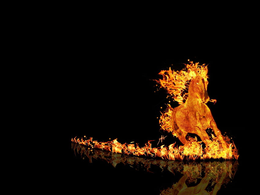 火、背景、、。 デザインのトレンド - プレミアム PSD、ベクター、火の動物 高画質の壁紙