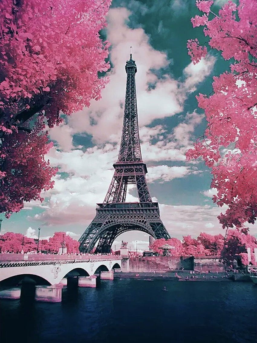 Me siento rosa... Torre Eiffel de París fondo de pantalla del teléfono