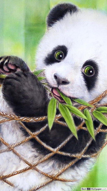 Panda Low Poly iPhone Wallpaper  iPhone Wallpapers