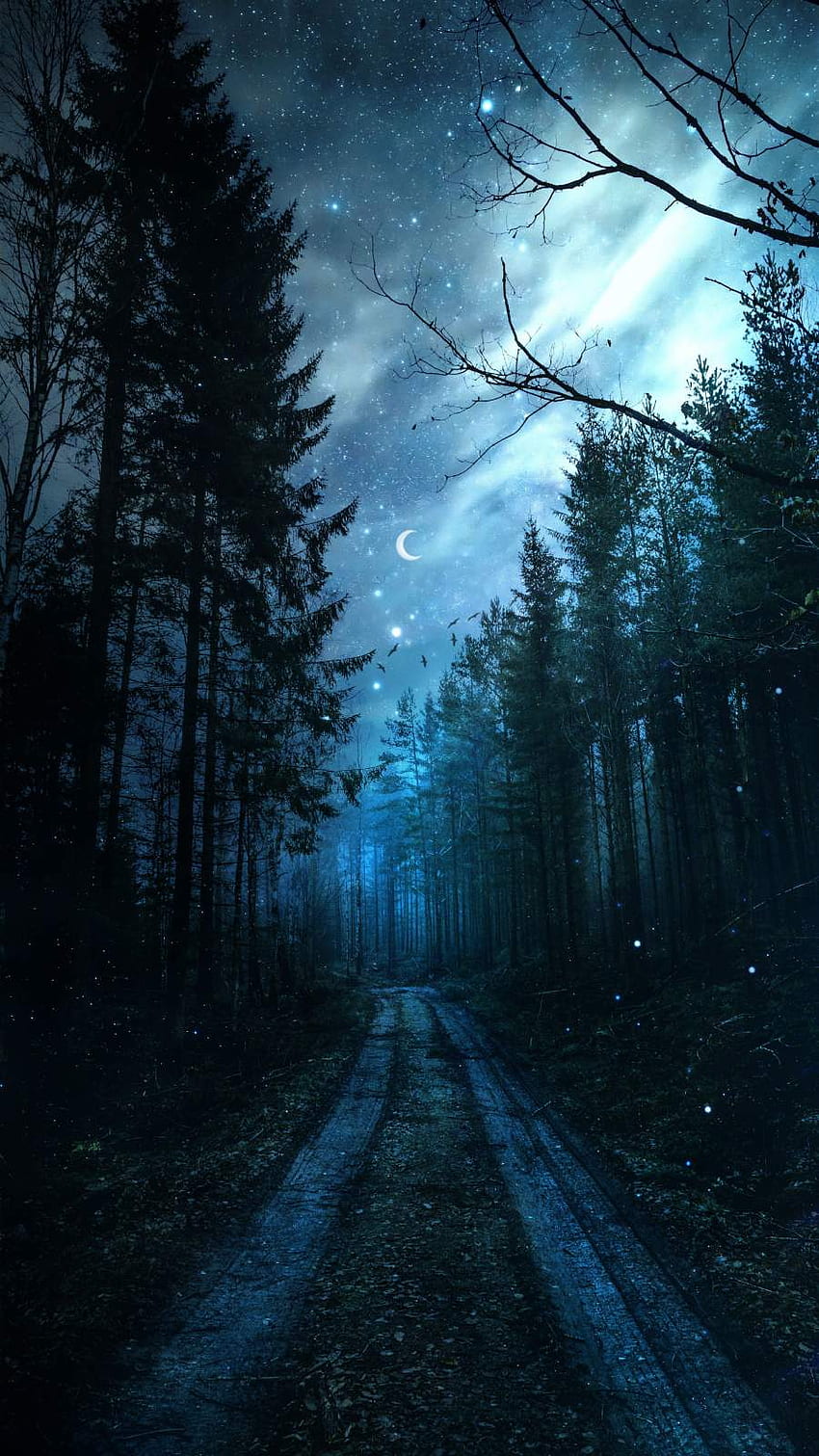 Starry Sky Night Forest Scenery 4K Wallpaper iPhone HD Phone #6360f