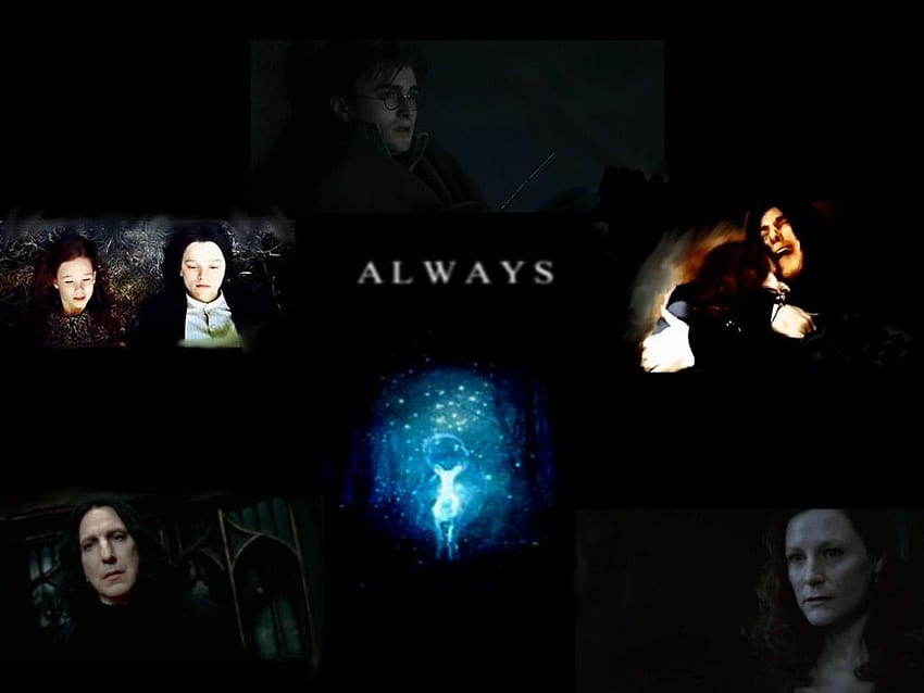 Severus - Lily - Harry Always ♥ - Severus Snape & Lily, Harry Potter Always HD wallpaper