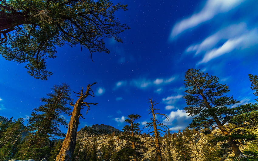 Kaiser Wilderness dari Sierra Nevada Range, Fresno, County California, hutan, bukit, awan, pohon, musim gugur, langit, amerika serikat Wallpaper HD