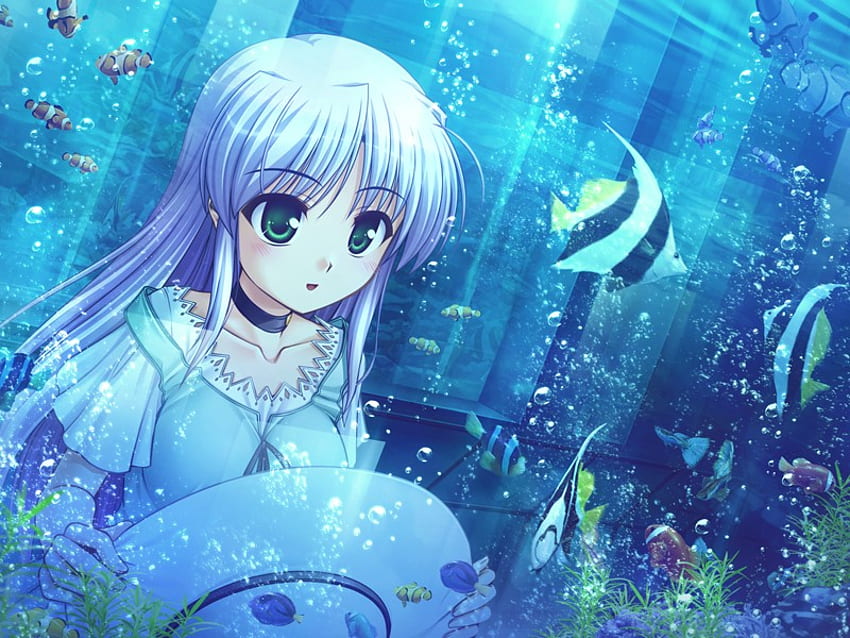 Aquarium, anime, fish, girl, water HD wallpaper