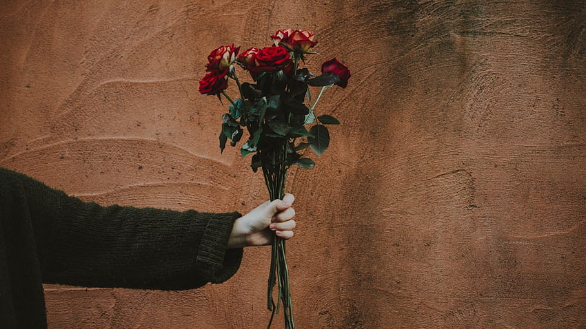 Bouquet de Rosas, Mão - Estética Vermelha e Marrom papel de parede HD