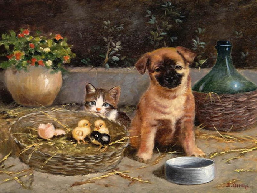 Puppy & Pals, kitten, basket, puppy, plants, chicks, dish, flower pot HD wallpaper