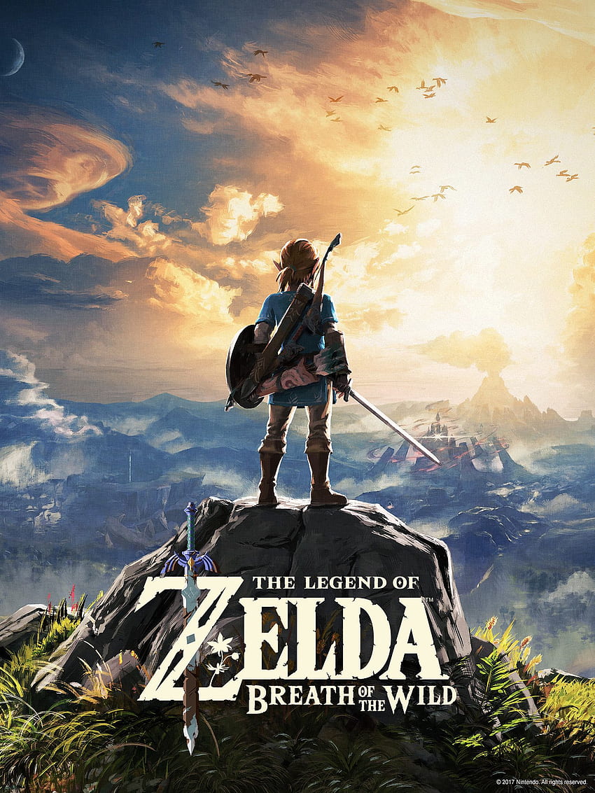 The Legend of Zelda™: Breath of the Wild for the Nintendo Switch HD phone wallpaper