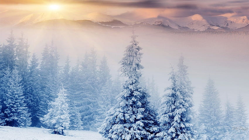 Winter: Wonderland Christmas Mountains Mist Pastel Fog Forest Winter HD ...
