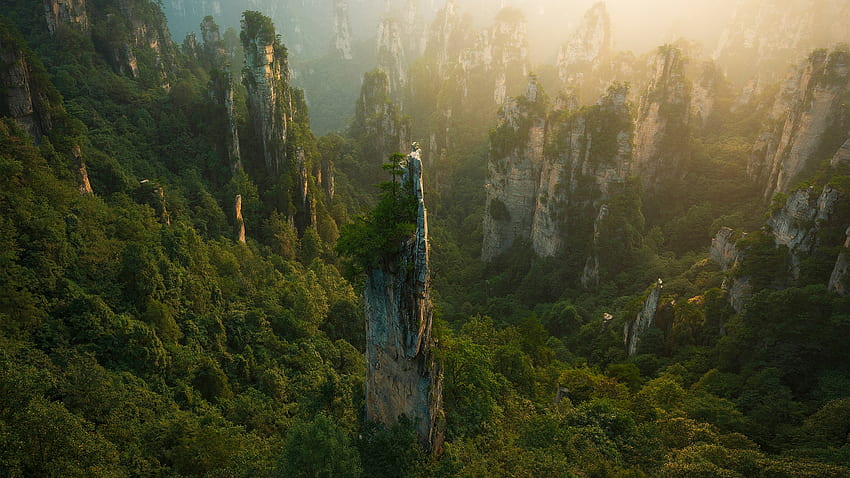 Naturaleza Paisaje Árboles Bosque China Roca Vista de pájaro Luz del sol Valle - Resolución:, Bosque chino fondo de pantalla