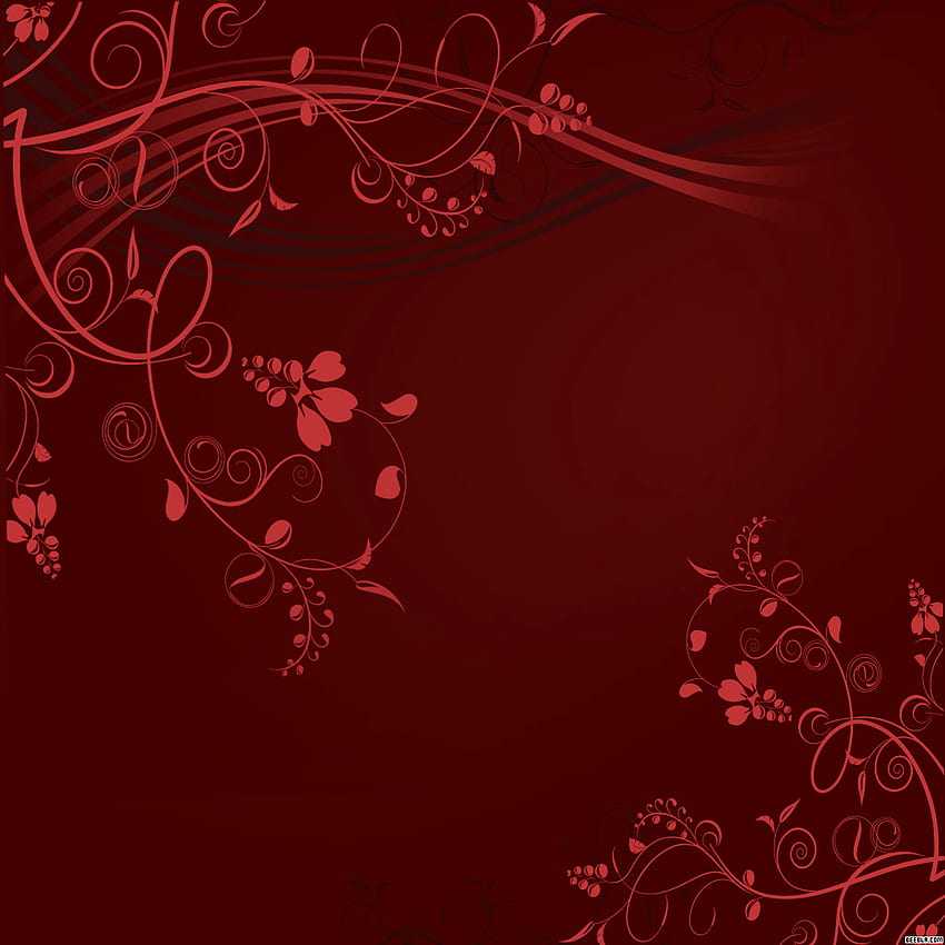 Maroon Colour Background, Maroon Color HD phone wallpaper