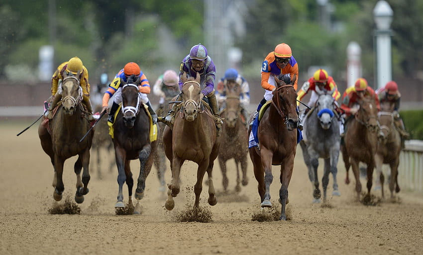 Spor, Atlar, At Yarışı, Kentucky Derby, Kentucky Derby 2015, Kentucky Derby Odds HD duvar kağıdı