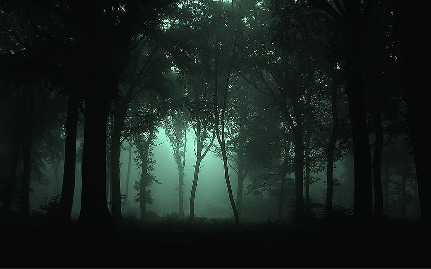 Dark Forests at Night.. says thank you 1,000 timesin darkespecially in dark - Foggy forest, Dark forest, Haunted woods HD wallpaper