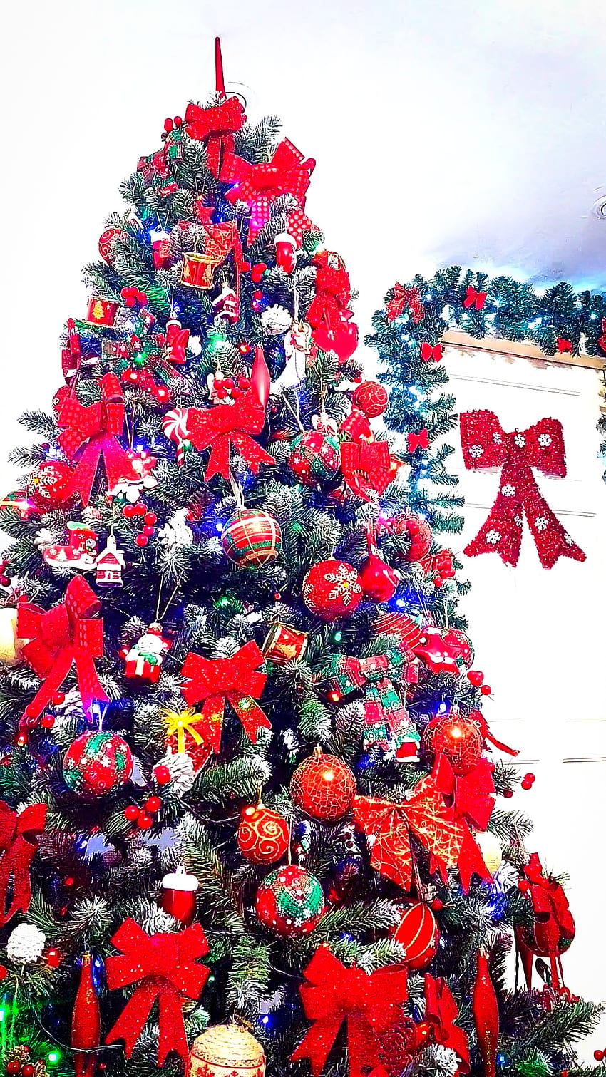 Noel ağacı, Noel dekorasyonu, Temmuz, Tannen bau, X-mas, Noel Baba, Craciun fericit, Noel zamanı, Noel, Papa noel, Saint nick, Noel, Dekorasyon, Noel Baba, Yeni Yılınız Kutlu Olsun, Kış, Mos Crăciun, Brad de craciun , Craciun, Mutlu Noeller HD telefon duvar kağıdı