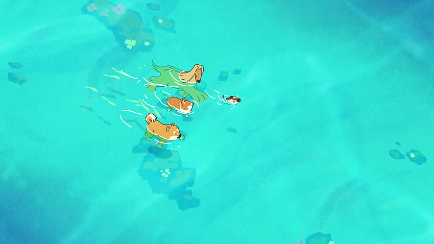 Niedliche Corgi-Hündchen, die leben, Hündchen-Corgi schwimmen HD-Hintergrundbild