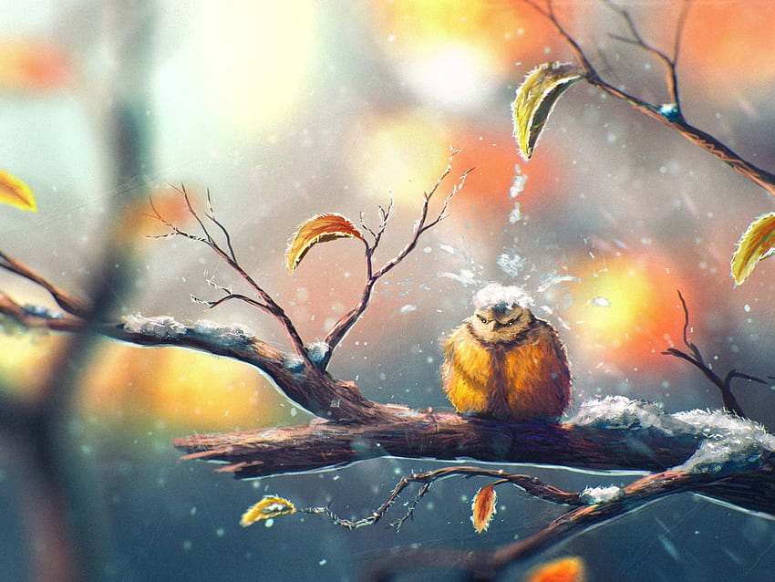 Sylar, Birds, Winter / and Mobile Background, Winter Pokemon HD wallpaper