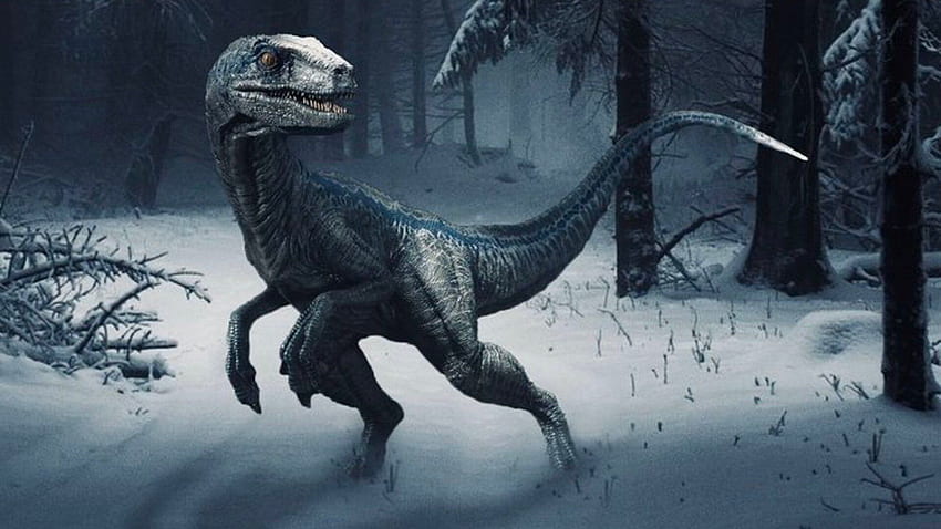 DOMINION kommt mit einer verschneiten Umgebung, Jurassic World Blue HD-Hintergrundbild