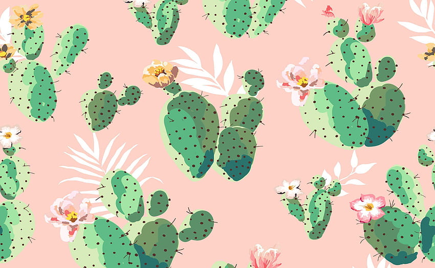 Cute Cactus - Awesome, Cool Cactus HD wallpaper