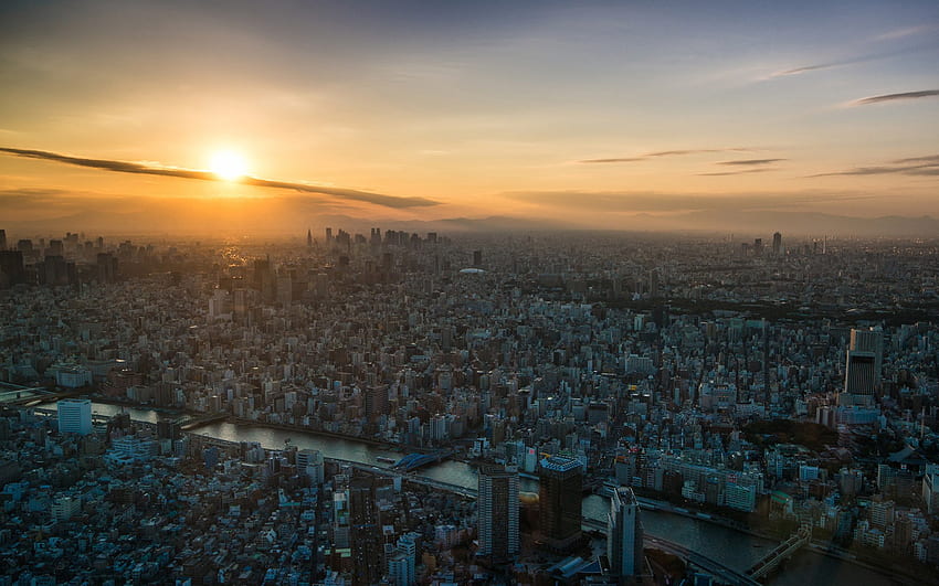 view, Sunset, City, Tokyo, Dawn / and Mobile Background, Dawn HD wallpaper