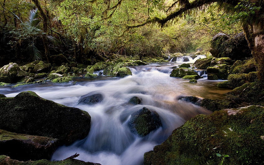 Природа, вода, реки, камъни, гора, растителност, поток, мъх, поток HD тапет