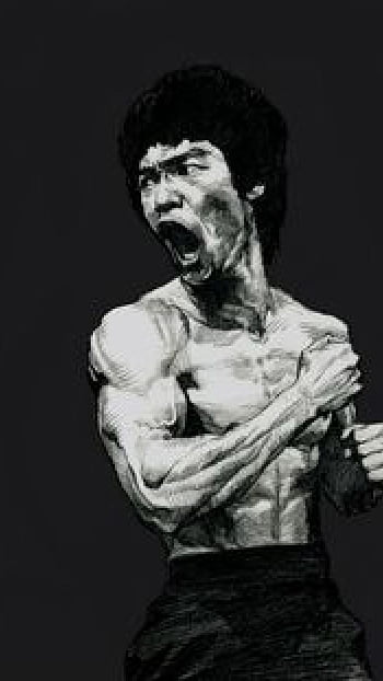 Bruce Lee kungfu martial arts HD phone wallpaper  Peakpx