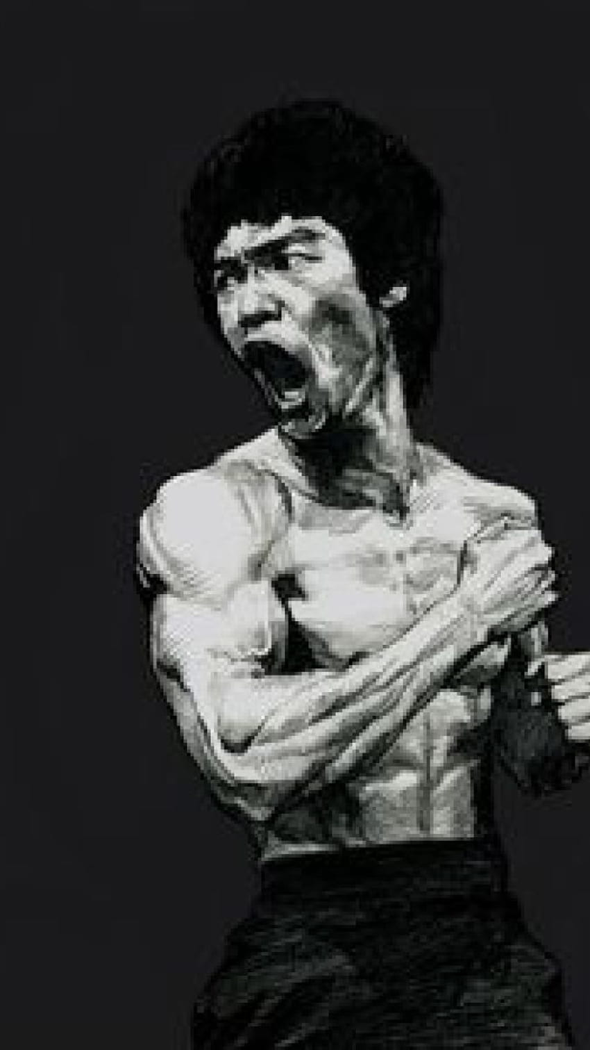 Bruce - Bruce Lee - e fundo, Bruce Lee completo Papel de parede de celular HD