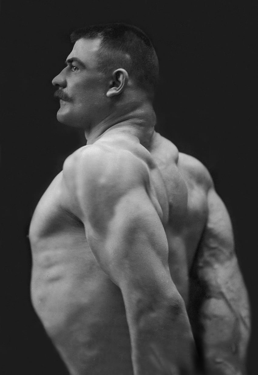 Vintage of Professional Bodybuilders, Triceps HD phone wallpaper